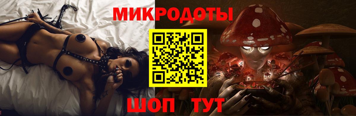 Галлюциногенные грибы GOLDEN TEACHER Ставрополь